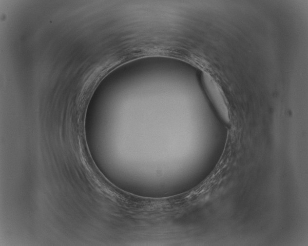 X0000074310097200608251246