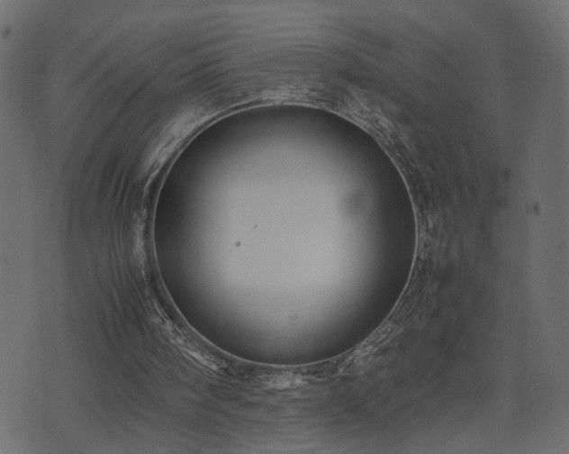 X0000074310098200608251246