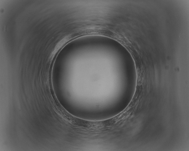 X0000074310099200608251246