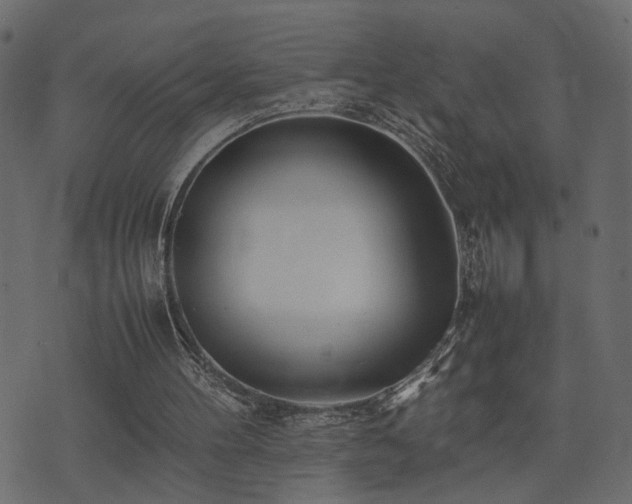 X0000074310100200608251246