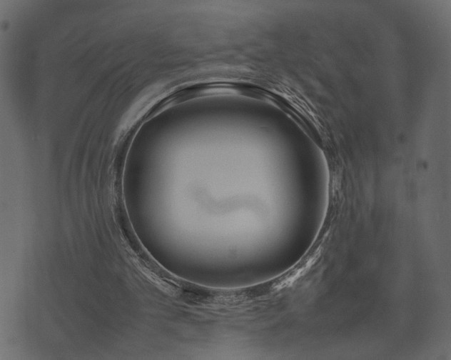 X0000074310101200608251246