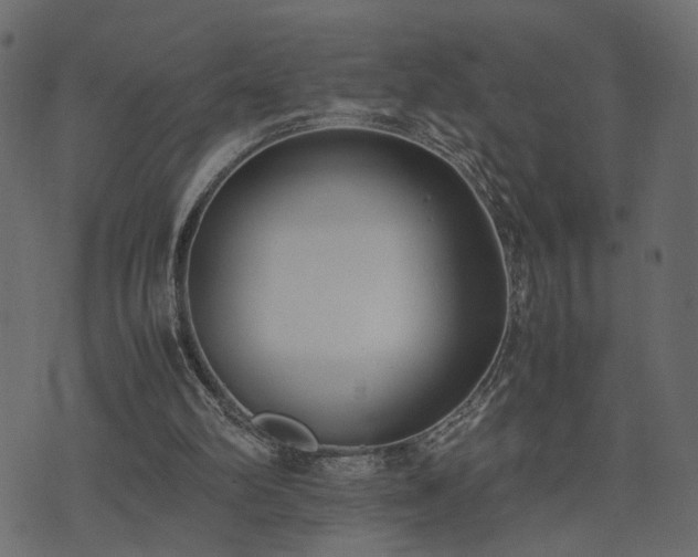 X0000074310102200608251246