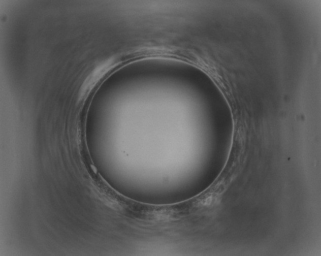 X0000074310103200608251246