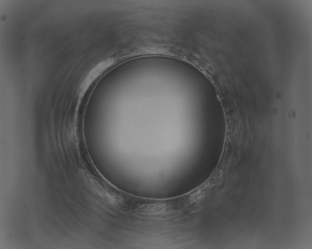 X0000074310104200608251246