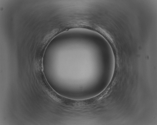 X0000074310105200608251246