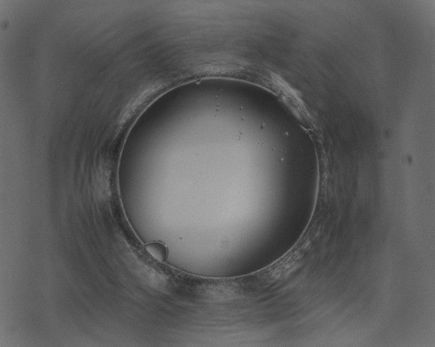 X0000074310106200608251245