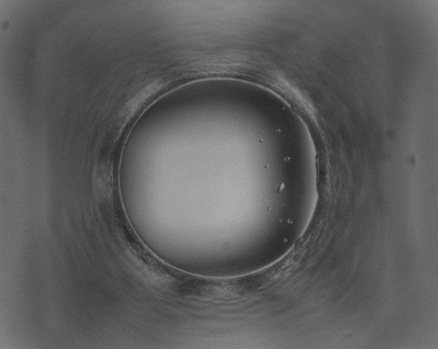 X0000074310107200608251245