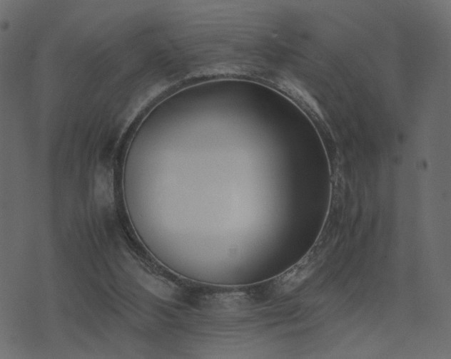 X0000074310108200608251245