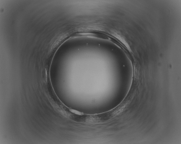 X0000074310109200608251245