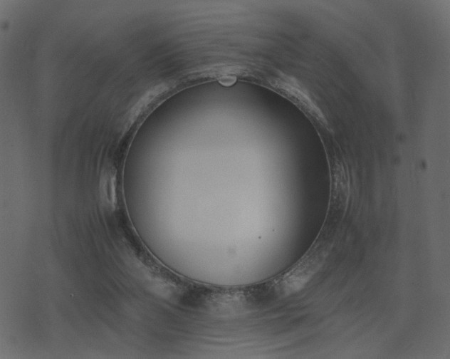 X0000074310110200608251245