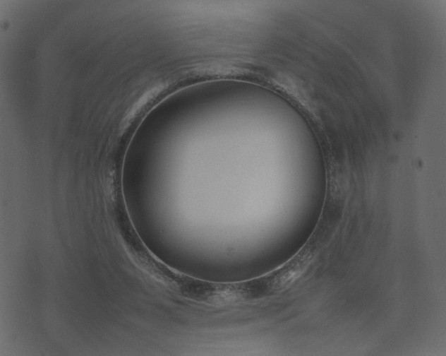 X0000074310111200608251245