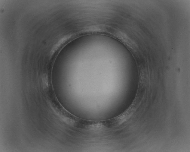 X0000074310112200608251245