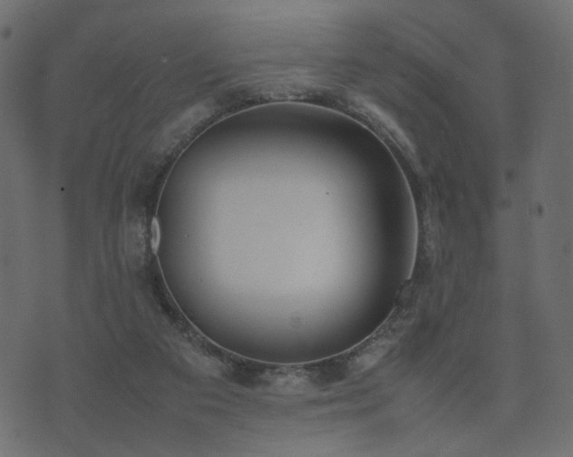 X0000074310113200608251245