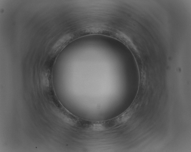 X0000074310114200608251245