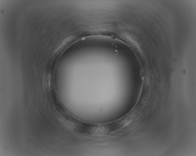 X0000074310115200608251245