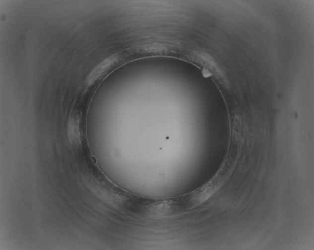 X0000074310116200608251245