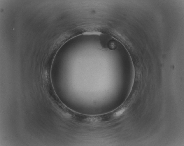 X0000074310117200608251245