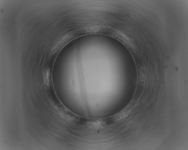 X0000074310118200608251245