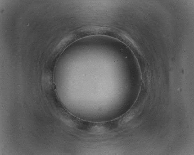 X0000074310119200608251245