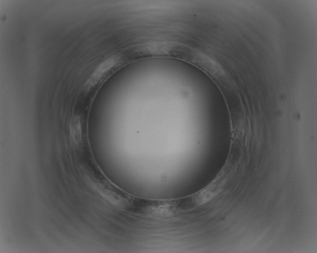 X0000074310120200608251245