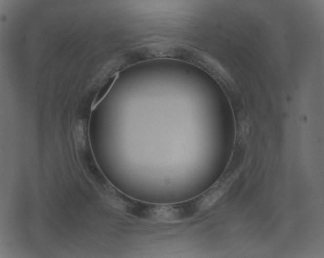 X0000074310121200608251245