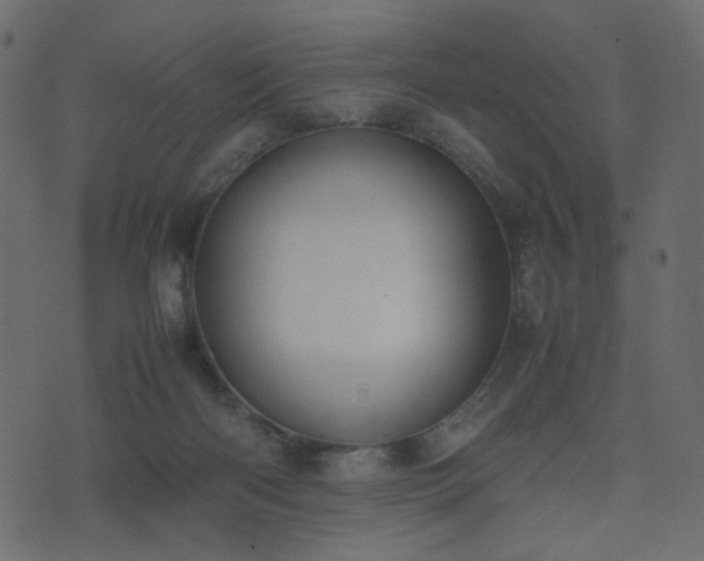 X0000074310122200608251245