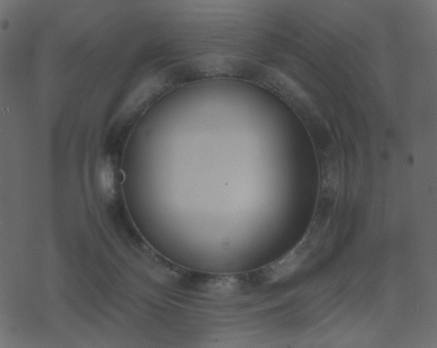 X0000074310124200608251245