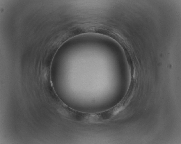 X0000074310125200608251245