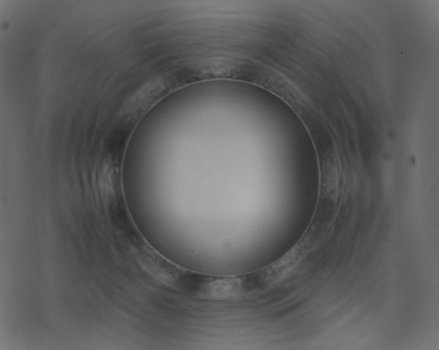 X0000074310126200608251245