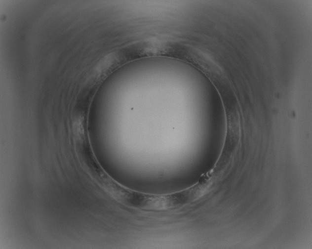 X0000074310127200608251245