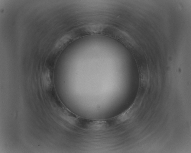 X0000074310128200608251245