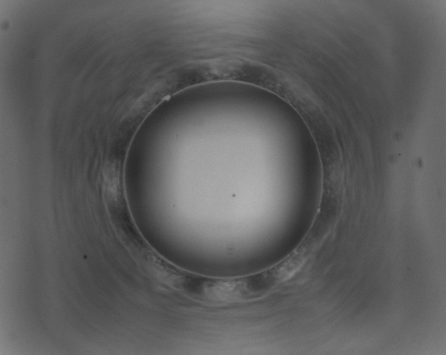 X0000074310129200608251245