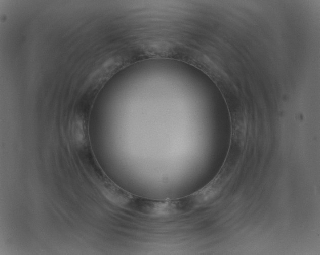 X0000074310130200608251245