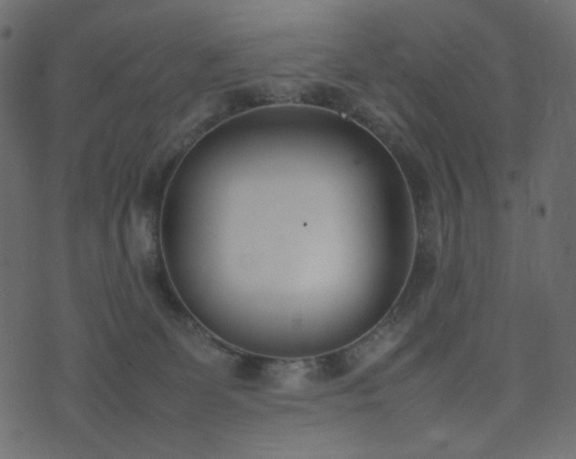 X0000074310131200608251245