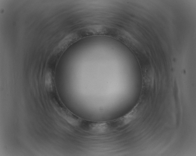 X0000074310132200608251245