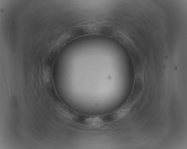 X0000074310133200608251245