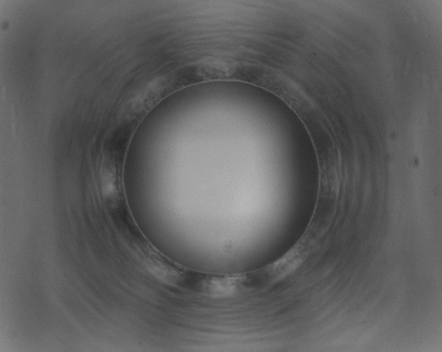 X0000074310134200608251245