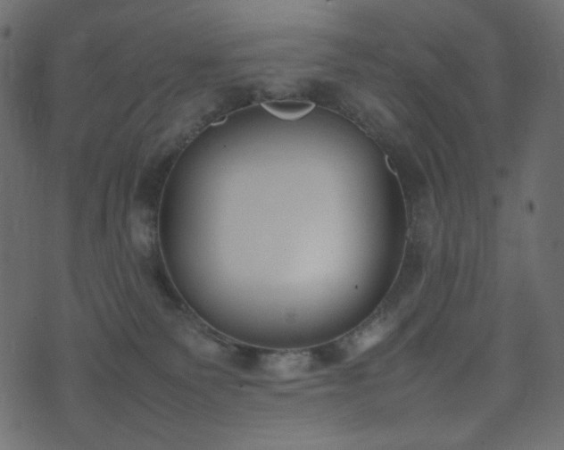 X0000074310135200608251245