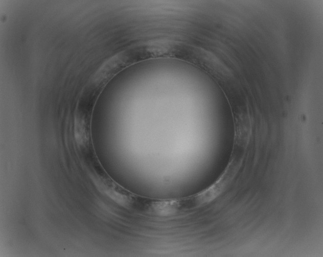 X0000074310136200608251245