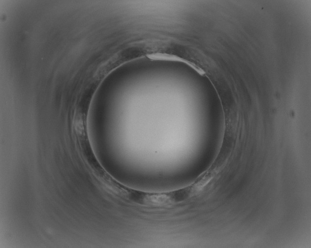 X0000074310137200608251245