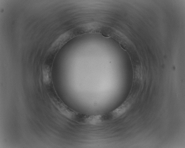 X0000074310138200608251245