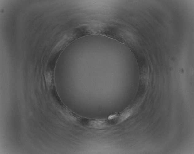 X0000074310139200608251245