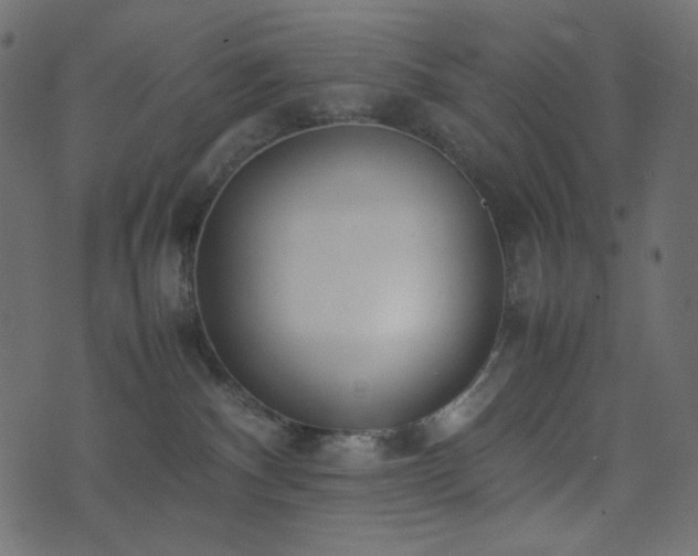 X0000074310140200608251245