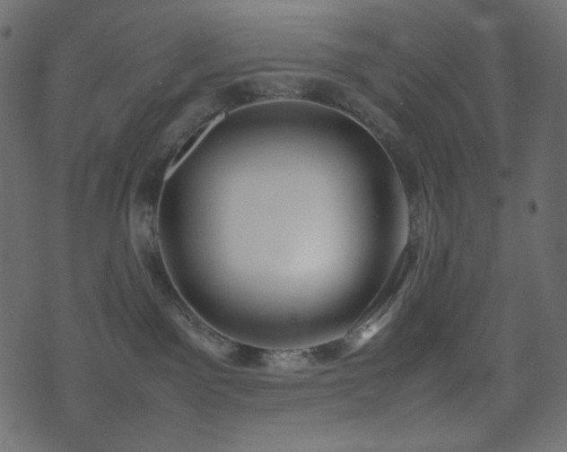 X0000074310141200608251245