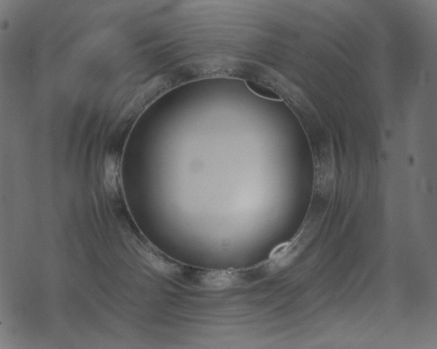 X0000074310142200608251245