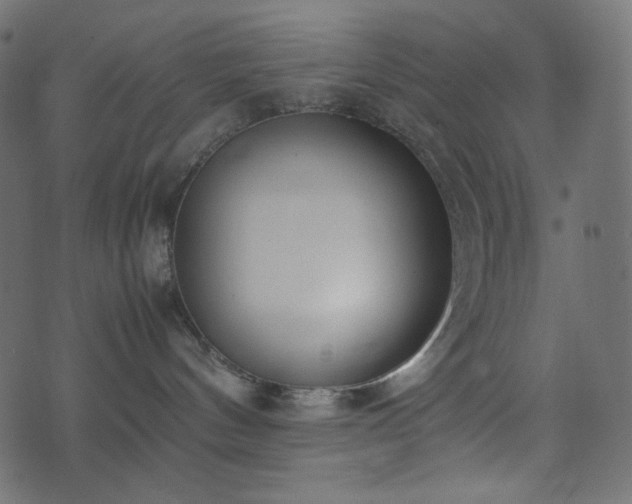 X0000074310144200608251245