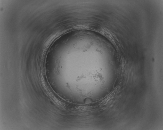 X0000074310145200608251244