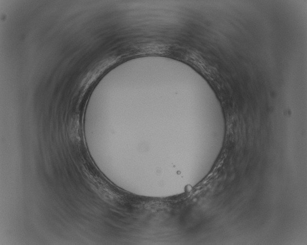 X0000074310146200608251244