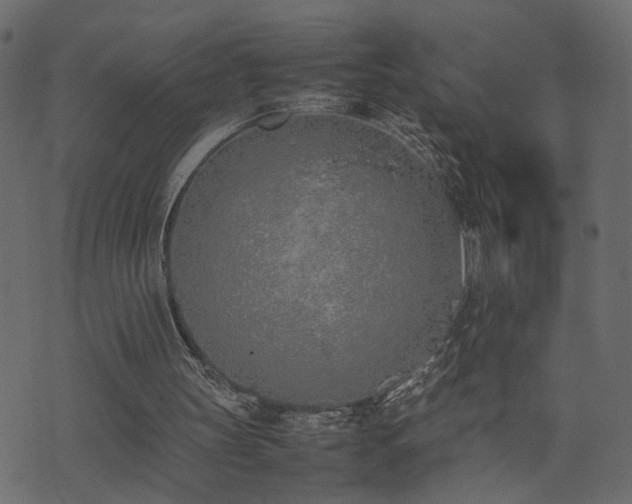 X0000074310147200608251244