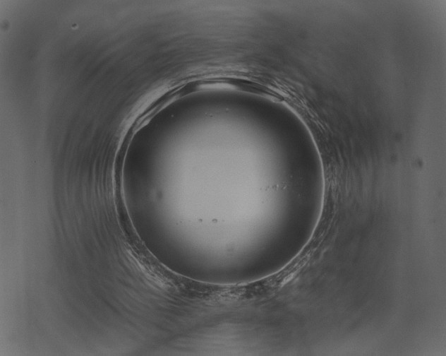 X0000074310148200608251244